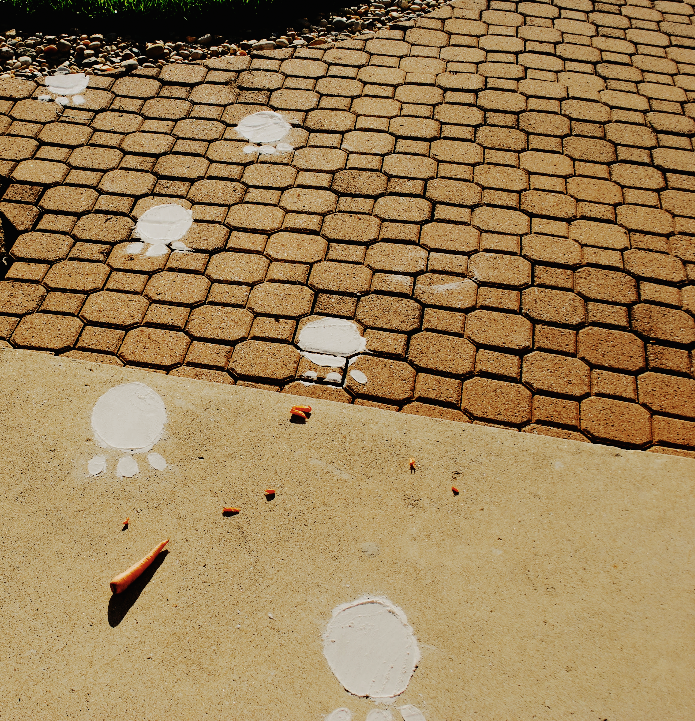 Easter Bunny Footprints with Free Template